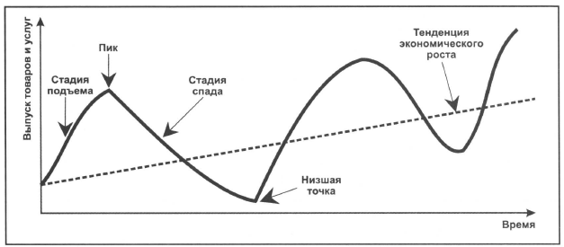 4 Фазы экономического цикла. Экономический цикл и его фазы цикла. Стадии экономического цикла. Схема экономического цикла.