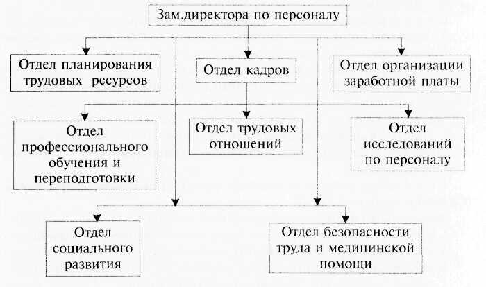 Типовая структура службы по управлению персоналом
